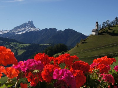 Holiday apartment Miribunghof - Outdoor photo 8