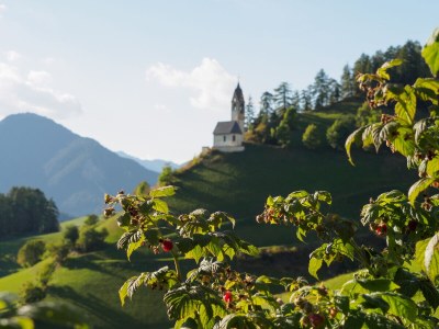 Holiday apartment Miribunghof - Environment photo 15