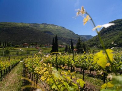 Apartment Trentino Apartment with bubble baths - Environment photo 28