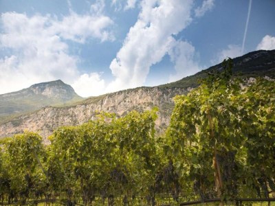 Apartment Trentino Apartment with bubble baths - Environment photo 29