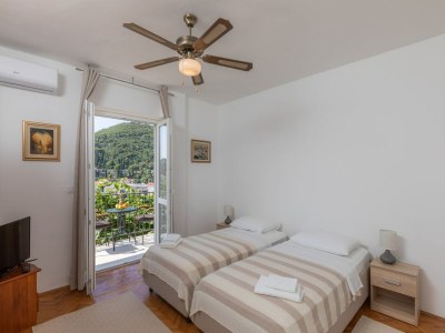 Apartment Begović Guest House - Two-Bedroom Suite with Balcony - Features photo 8