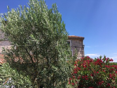 Holiday house Villa Ana - Outdoor photo 8