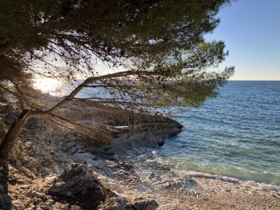 Holiday house Villa Ana - Environment photo 38