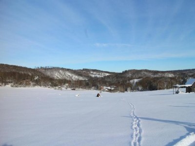 Apartment Quiet Garden Apartment - Environment photo 30