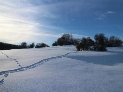 Apartment Quiet Garden Apartment - Environment photo 31