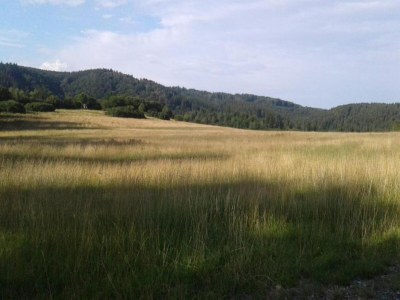 Apartment Quiet Garden Apartment - Environment photo 32