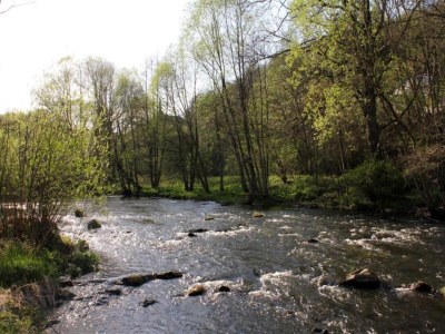 Apartment Quiet Garden Apartment - Environment photo 36