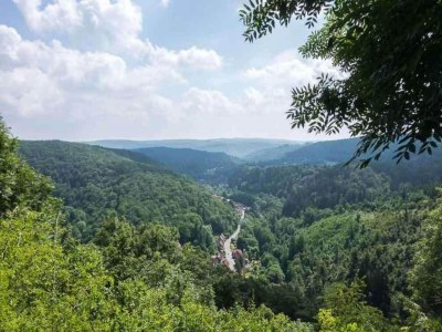 Apartment Quiet Garden Apartment - Environment photo 37