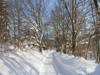 Apartment Quiet Garden Apartment - Environment photo 39