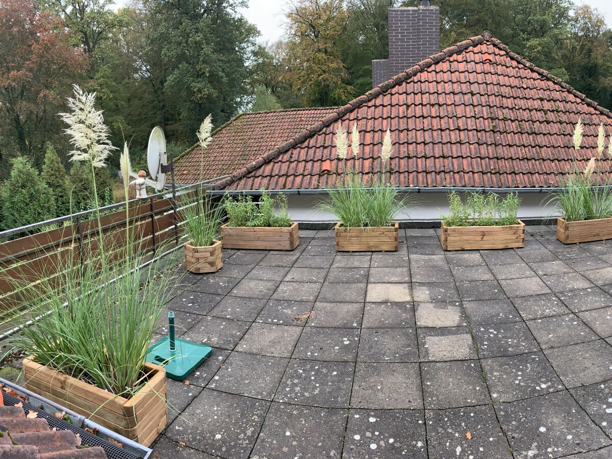 Holiday apartment "A" Sternwarte - Outdoor photo 3