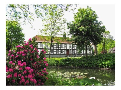 Holiday apartment "A" Sternwarte - Environment photo 13