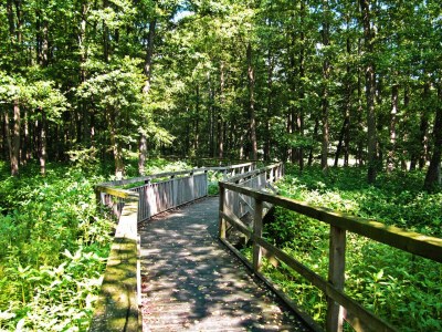 Holiday apartment "A" Sternwarte - Environment photo 17