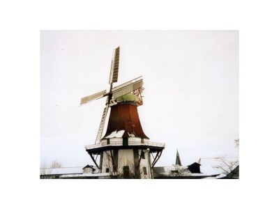 Holiday apartment "A" Sternwarte - Environment photo 19