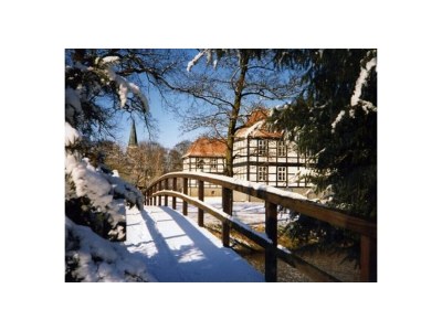 Holiday apartment "A" Sternwarte - Environment photo 20