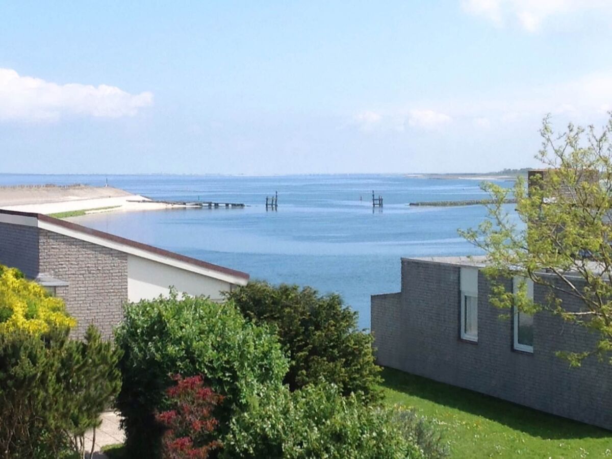 Holiday house Ferienhaus in Kamperland am Strand - Outdoor photo 3