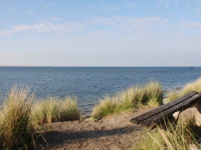 Holiday house Ferienhaus in Kamperland am Strand - Environment photo 23