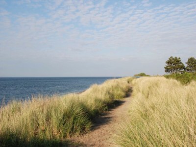 Holiday house Ferienhaus in Kamperland am Strand - Environment photo 24