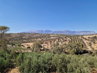 Villa Aphaia - Outdoor photo 12