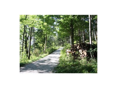 Holiday apartment Edelweiß - Environment photo 13