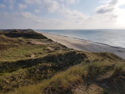 Holiday house 4 person holiday home in Thisted-By Traum - Outdoor photo 25