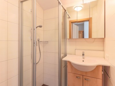 Apartment Chalet in Bramberg near Ski Slopes - Features photo 8