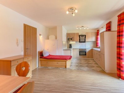 Apartment Chalet in Bramberg near Ski Slopes - Features photo 10