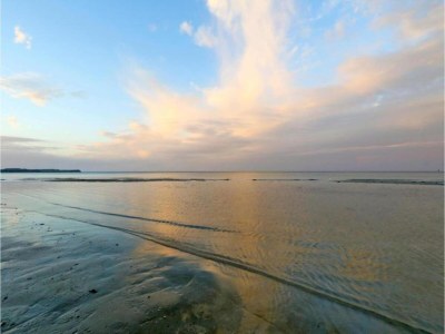 Apartment Ferienwohnung am Meer - Environment photo 20