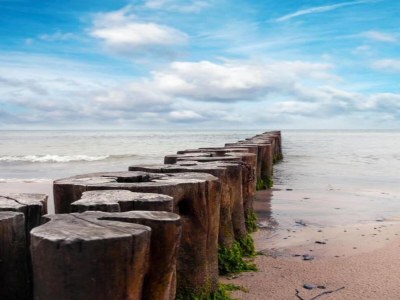 Apartment Ferienwohnung am Meer - Environment photo 25