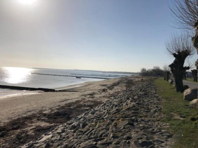 Apartment Ferienwohnung am Meer - Environment photo 33