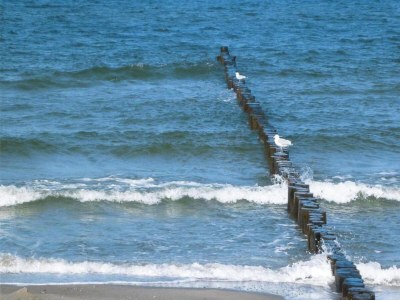 Apartment Ferienwohnung am Meer - Environment photo 38