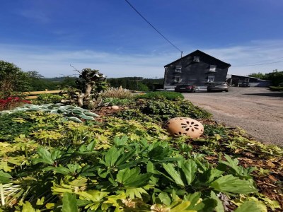 Apartment schöne Ferienwohnung im Sauerland in Southern Sauerland - Apartment