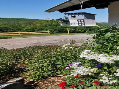 Apartment schöne Ferienwohnung im Sauerland - Outdoor photo 8