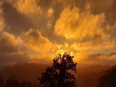 Apartment schöne Ferienwohnung im Sauerland - Environment photo 25