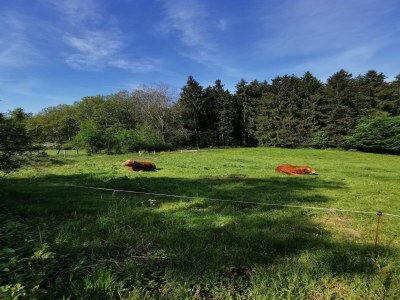 Apartment schöne Ferienwohnung im Sauerland - Environment photo 27
