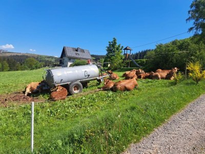 Apartment schöne Ferienwohnung im Sauerland - Environment photo 28