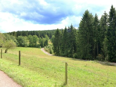 Apartment schöne Ferienwohnung im Sauerland - Environment photo 32