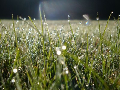 Apartment schöne Ferienwohnung im Sauerland - Outdoor photo 35