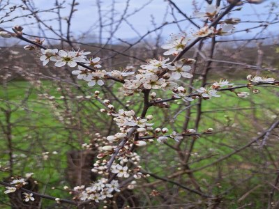 Apartment schöne Ferienwohnung im Sauerland - Outdoor photo 36