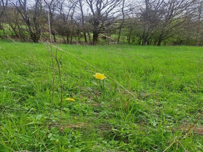 Apartment schöne Ferienwohnung im Sauerland - Outdoor photo 37