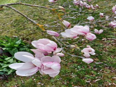 Apartment schöne Ferienwohnung im Sauerland - Outdoor photo 40