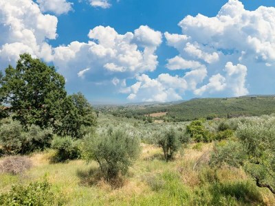 Holiday house Szenischer Rückzugsort, Pergine Valdarno - Environment photo 36