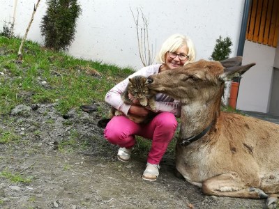 Apartment 1. Appartment/2 Schlafräume/Dusche, WC - Outdoor photo 21