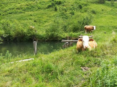 Apartment 1. Appartment/2 Schlafräume/Dusche, WC - Outdoor photo 23