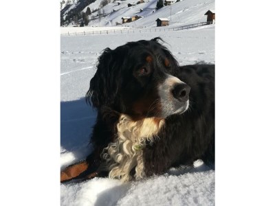 Apartment 1. Appartment/2 Schlafräume/Dusche, WC - Outdoor photo 29