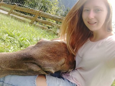 Apartment 1. Appartment/2 Schlafräume/Dusche, WC - Outdoor photo 31