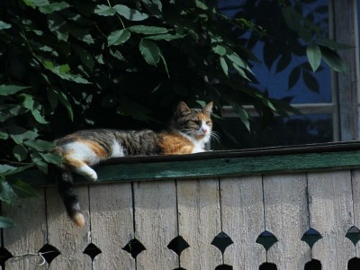 Apartment 1. Appartment/2 Schlafräume/Dusche, WC - Outdoor photo 32