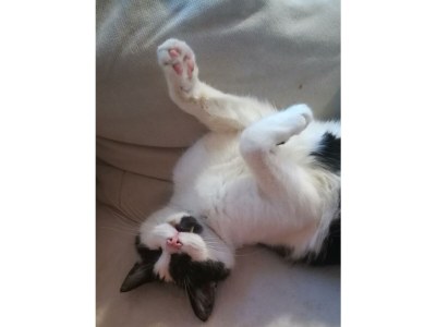 Apartment 1. Appartment/2 Schlafräume/Dusche, WC - Outdoor photo 34