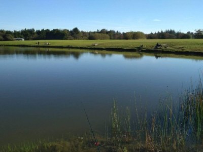Holiday house 8 Personen Ferienhaus in Oksbøl-By Traum - Outdoor photo 38