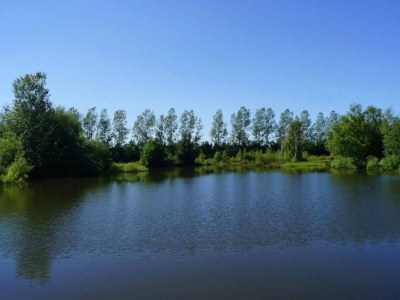 Holiday house 8 Personen Ferienhaus in Oksbøl-By Traum - Outdoor photo 39