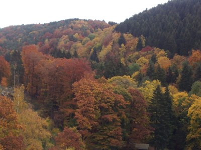 Holiday apartment "Zum Torfstecher" - Environment photo 16